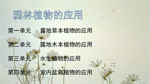 园林植物的应用.ppt