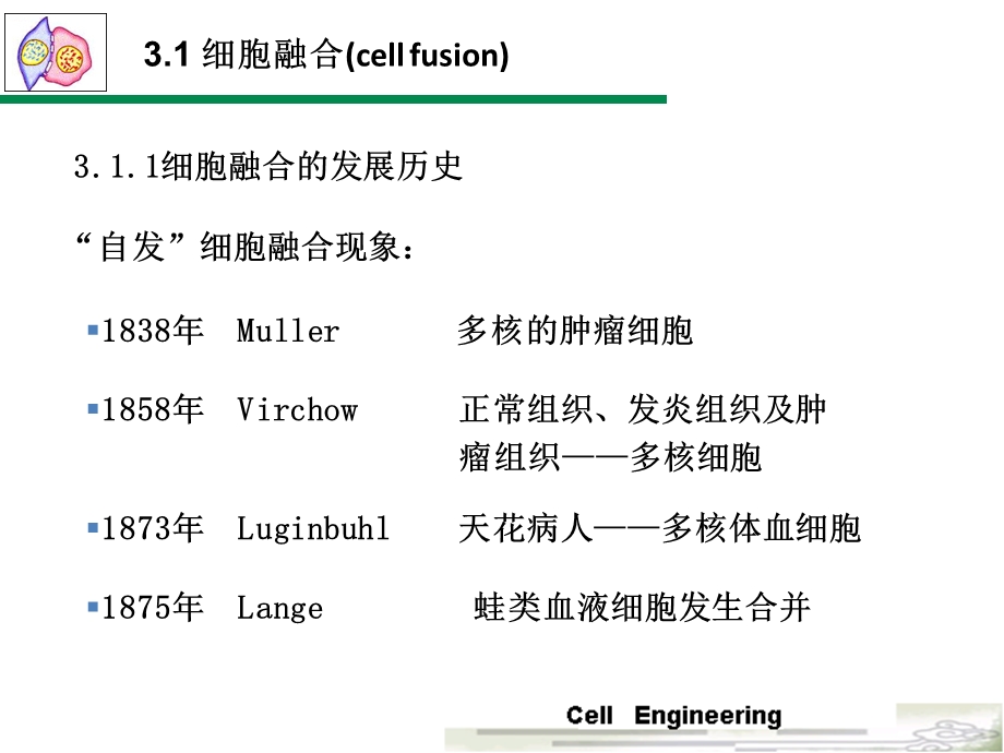 第3章细胞融合与单克隆抗体1.ppt_第3页