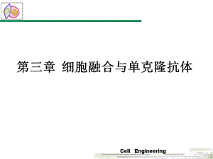 第3章细胞融合与单克隆抗体1.ppt