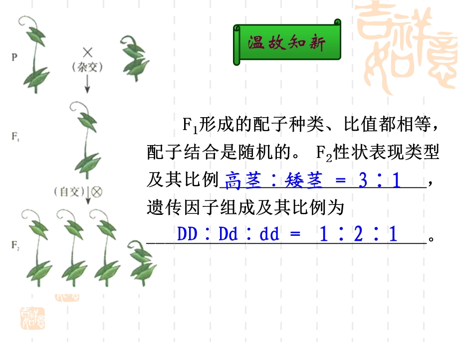 教学课件第二节-孟德尔的豌豆杂交实验(二).ppt_第1页