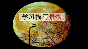 写作：学习景物描写.ppt