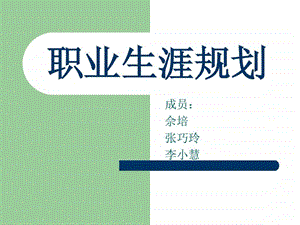 国际商务专业职业生涯规划.ppt.ppt