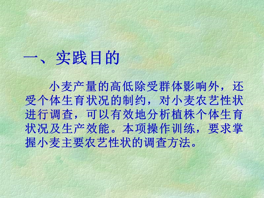 农事学实践教程讲义三.ppt_第3页