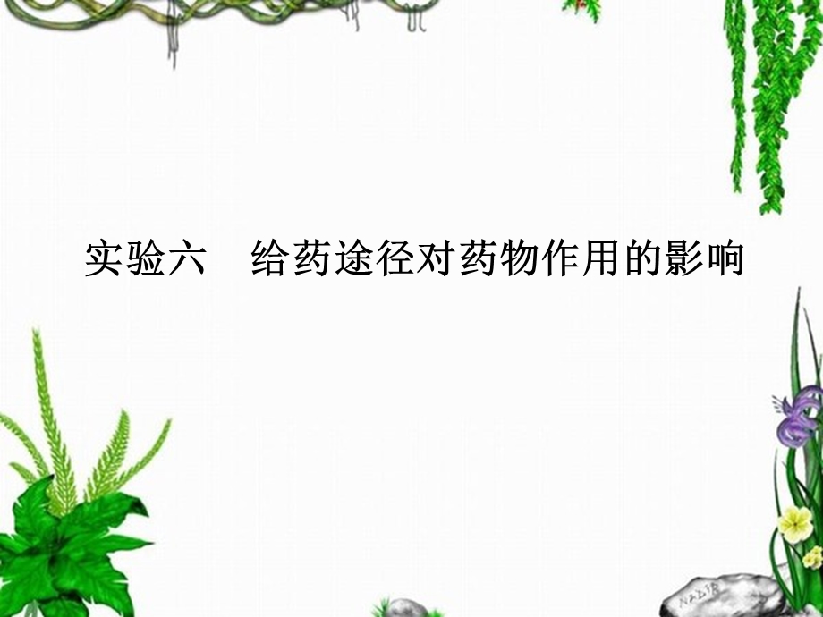 实验六给药途径对药物作用的影响.ppt_第1页