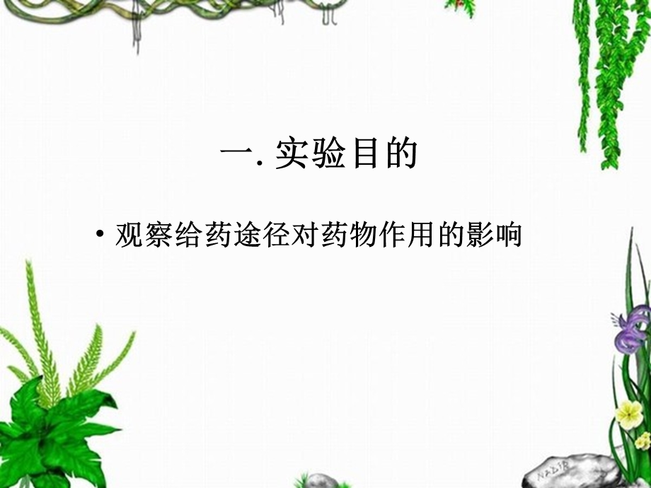 实验六给药途径对药物作用的影响.ppt_第2页