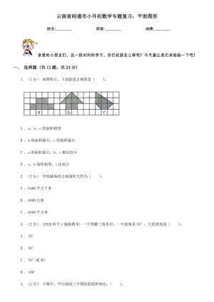 云南省昭通市小升初数学专题复习：平面图形.doc