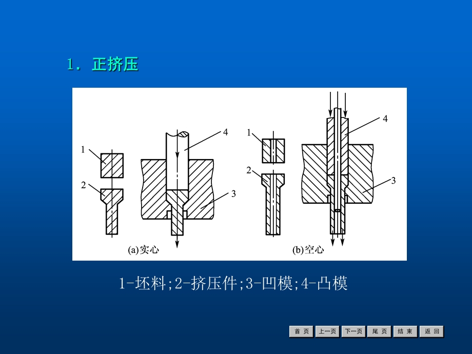 冷挤压工艺与模具.ppt_第3页