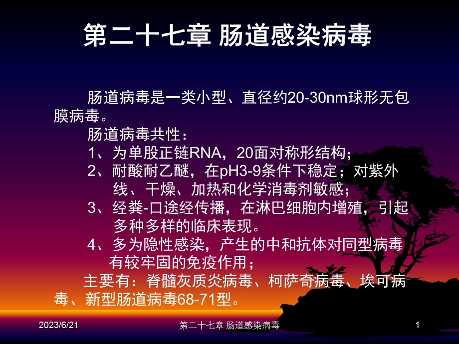 二十七章肠道感染病毒.ppt_第1页