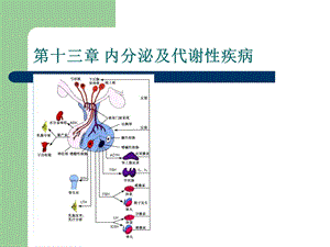 内分泌及代谢性疾病.ppt