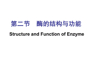 第二节酶的结构和功能.ppt