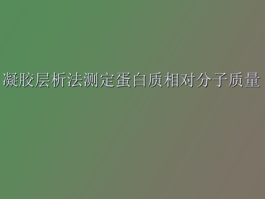 凝胶层析法测定蛋白质相对分子质量.ppt_第1页