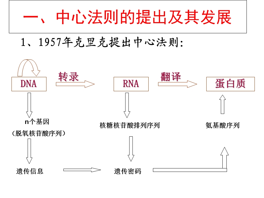 基因对性状的控制(比较好).ppt_第3页