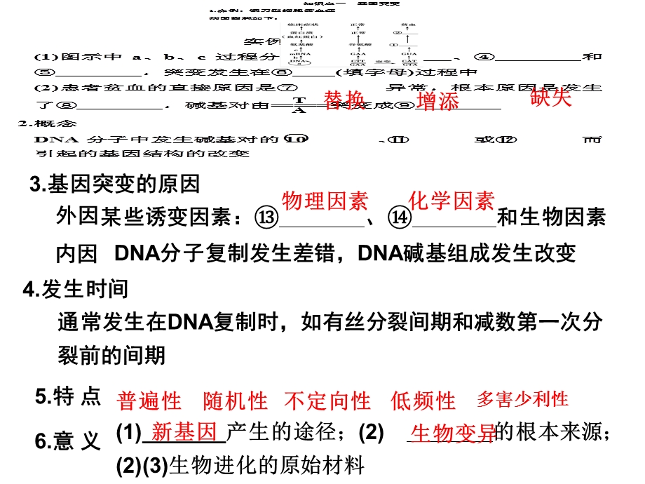 基因突变及其他变异复习.ppt_第3页