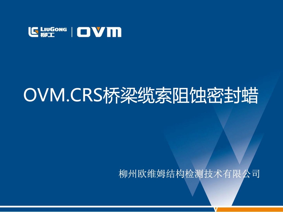 OVM.CRS桥梁缆索阻蚀密封蜡.ppt_第1页