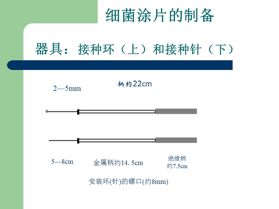 实验3：革兰氏染.ppt_第3页