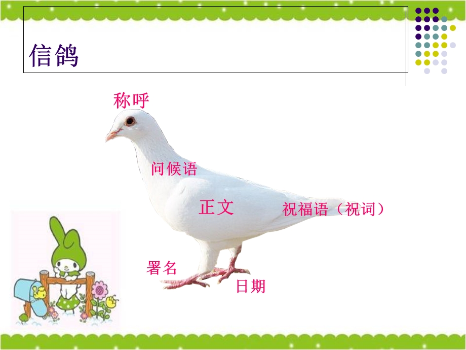 小学生书信作文指导和范文.ppt_第3页