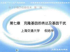 克隆基因的表达及基因干扰.ppt