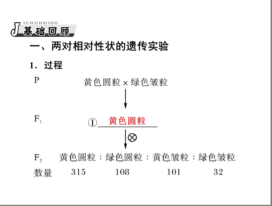 孟德尔的豌豆杂交实验复习课(二).ppt_第2页