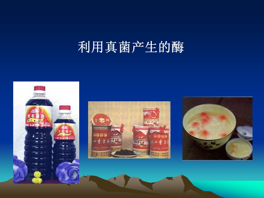 第一章真菌学部分绪论.ppt_第3页