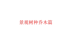 景观树种乔木篇.ppt