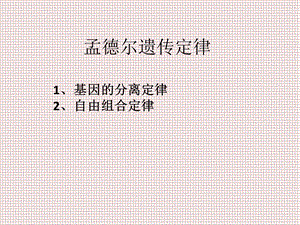 孟德尔遗传定律(共43张PPT).ppt