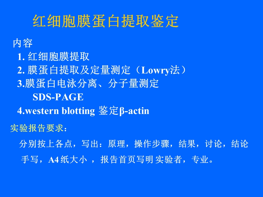 红细胞膜蛋白提取流程.ppt_第1页