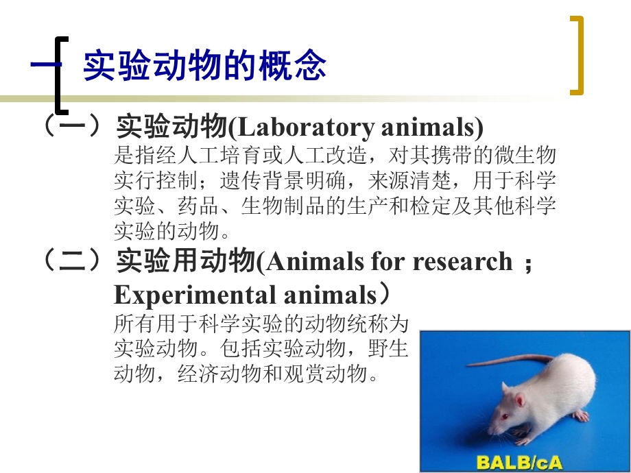 实验动物学总结.ppt_第3页