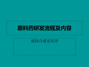 原料药研发流程.ppt