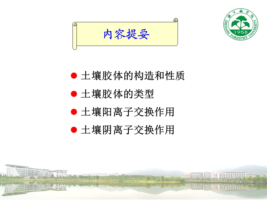 土壤胶体和土壤离子交换.ppt_第2页