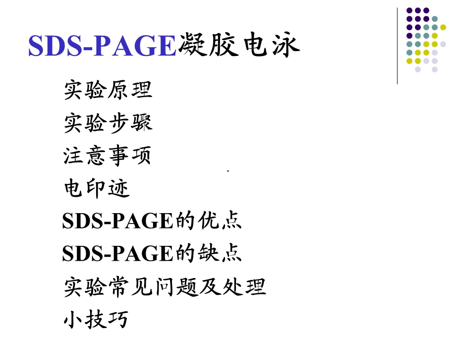 凝胶电泳及Westernblot检测技术.ppt_第2页