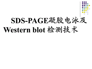 凝胶电泳及Westernblot检测技术.ppt