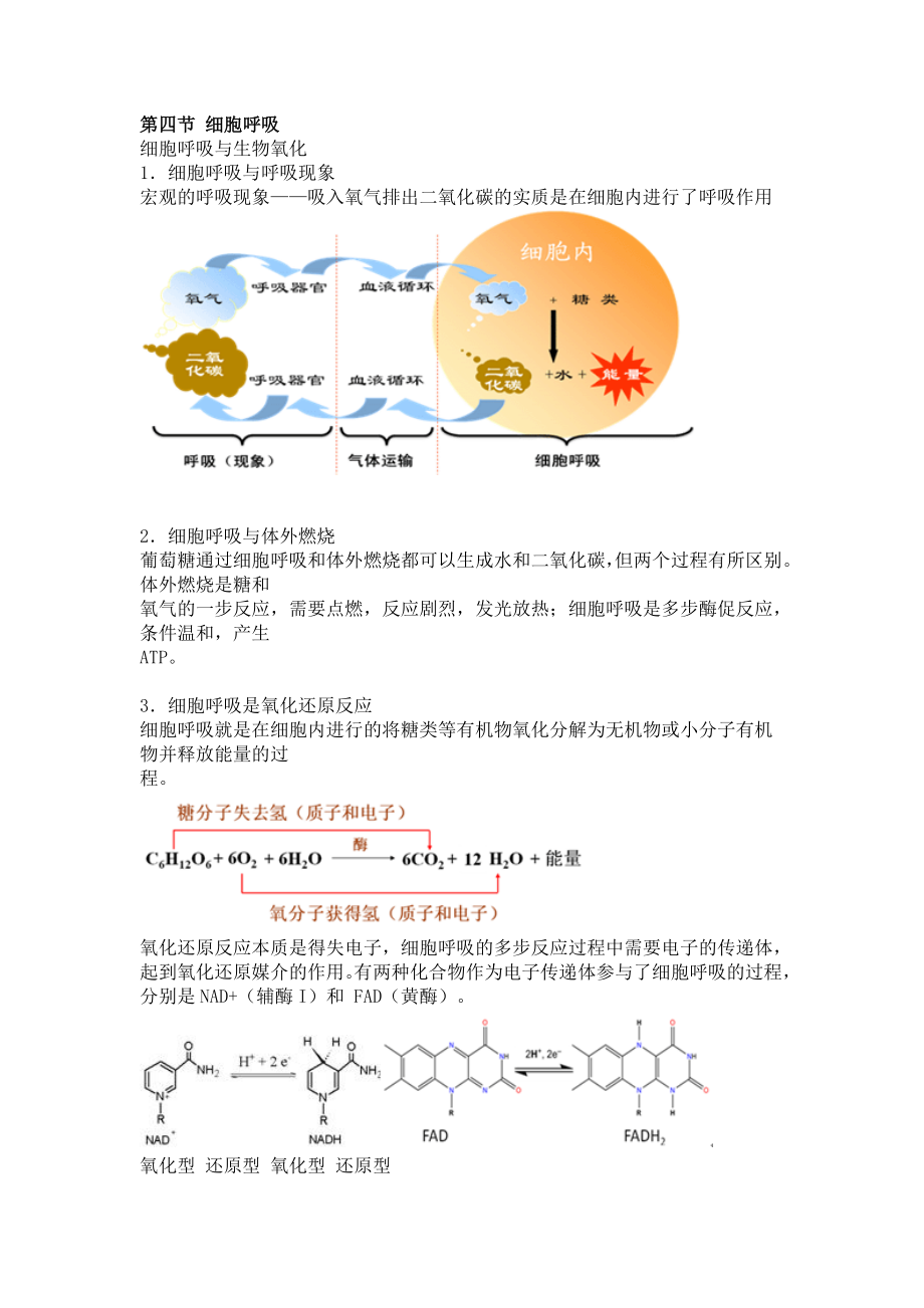 第三章细胞的代谢.doc_第2页