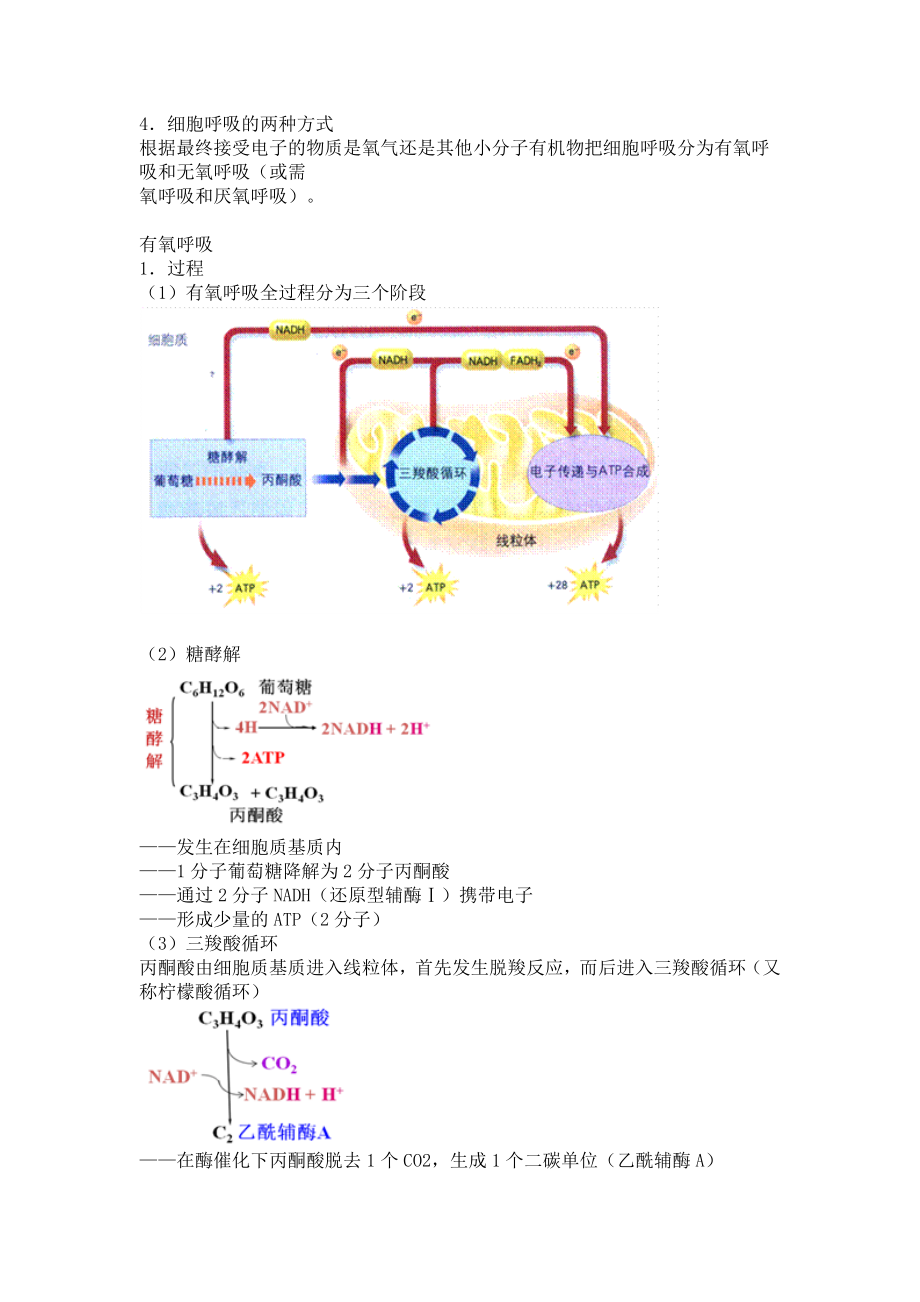 第三章细胞的代谢.doc_第3页