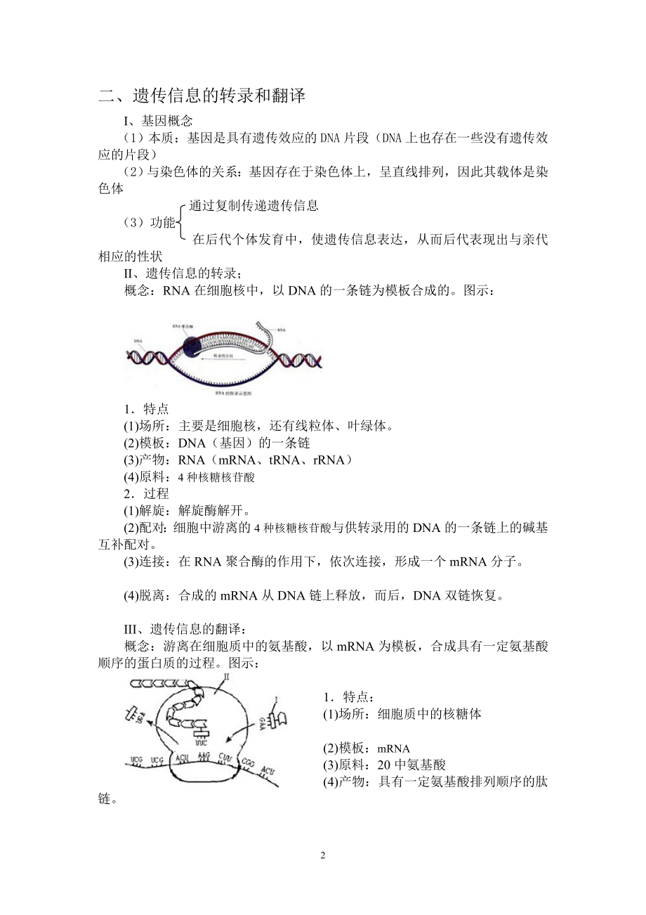 第四章基因的表达.doc_第2页