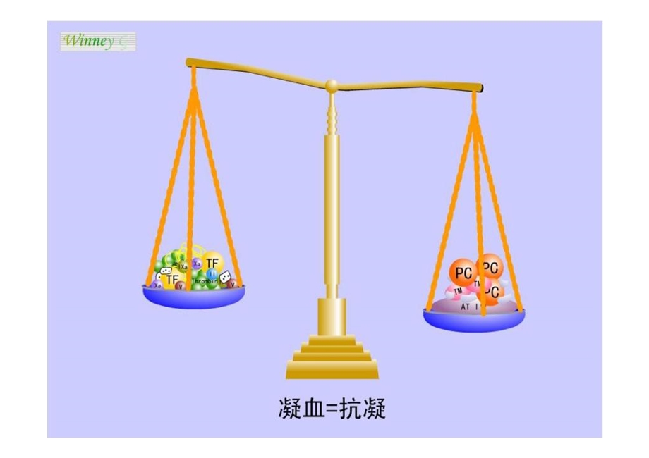 凝血与抗凝平衡紊乱.ppt_第3页