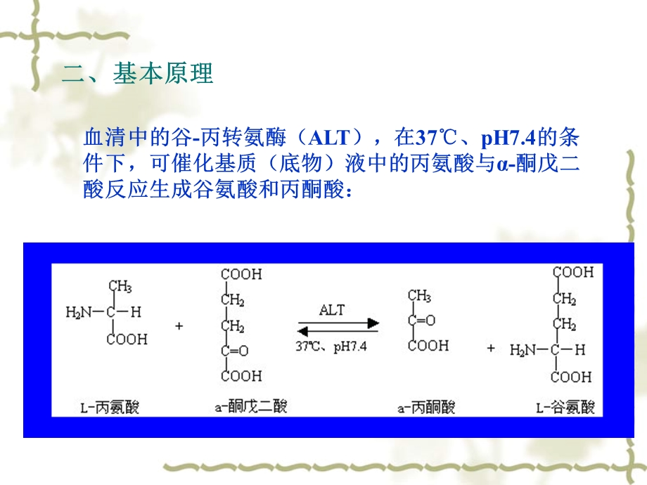 实验十二谷丙转氨酶活性检测.ppt_第2页