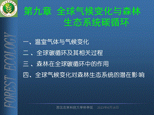 全球气候变化与森林生态系统碳循环.ppt