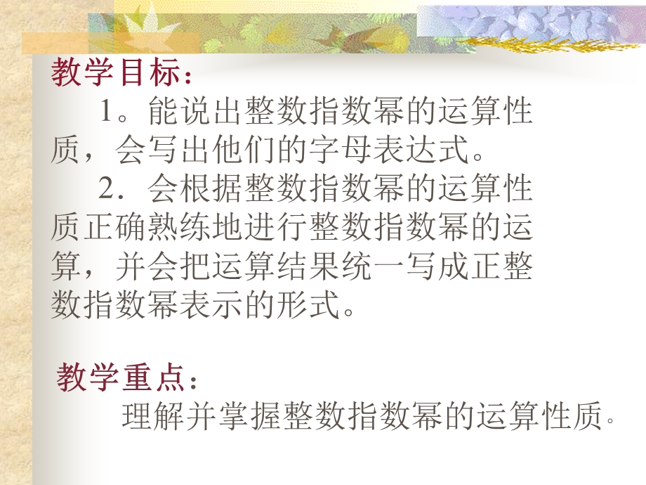 整数指数幂的运算.ppt_第2页