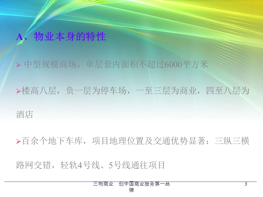 商业定位报告方案.ppt_第3页