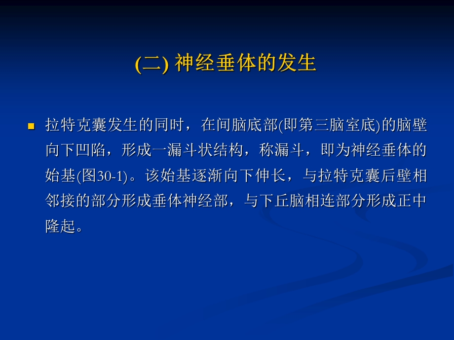 内分泌腺的发生.ppt_第3页