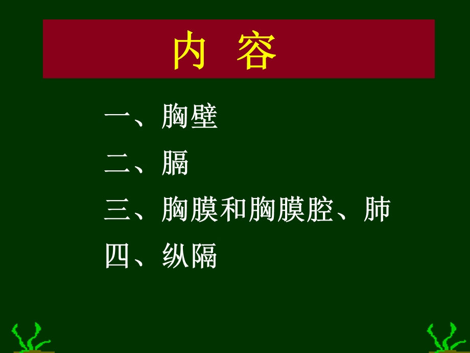 胸部解剖图谱1.ppt_第2页