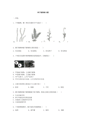 人教版七年级上册生物第三单元第一章第二节《种子植物》练习题【word版】无答案.docx