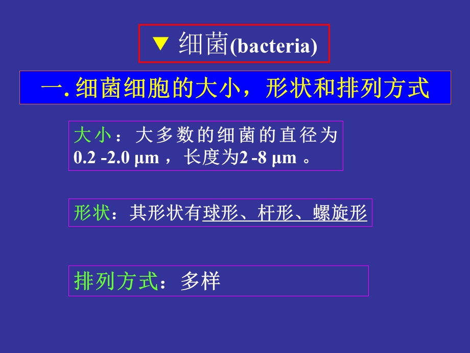 显微镜下微生物原.ppt_第3页