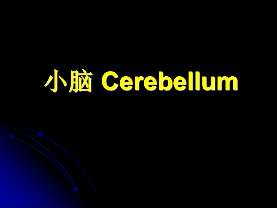 小脑ceerebellumppt课件.ppt_第1页