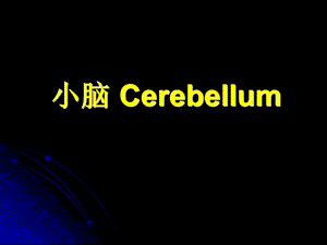 小脑ceerebellumppt课件.ppt