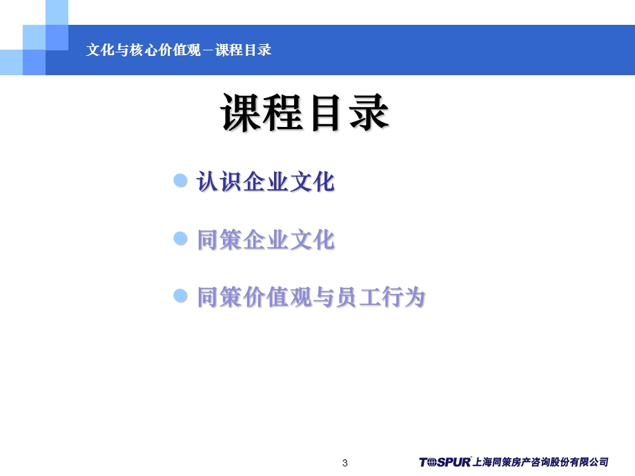 文化与核心价值观.ppt_第3页