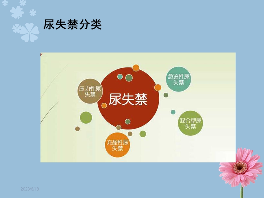 压力性尿失禁护理查房.ppt_第2页