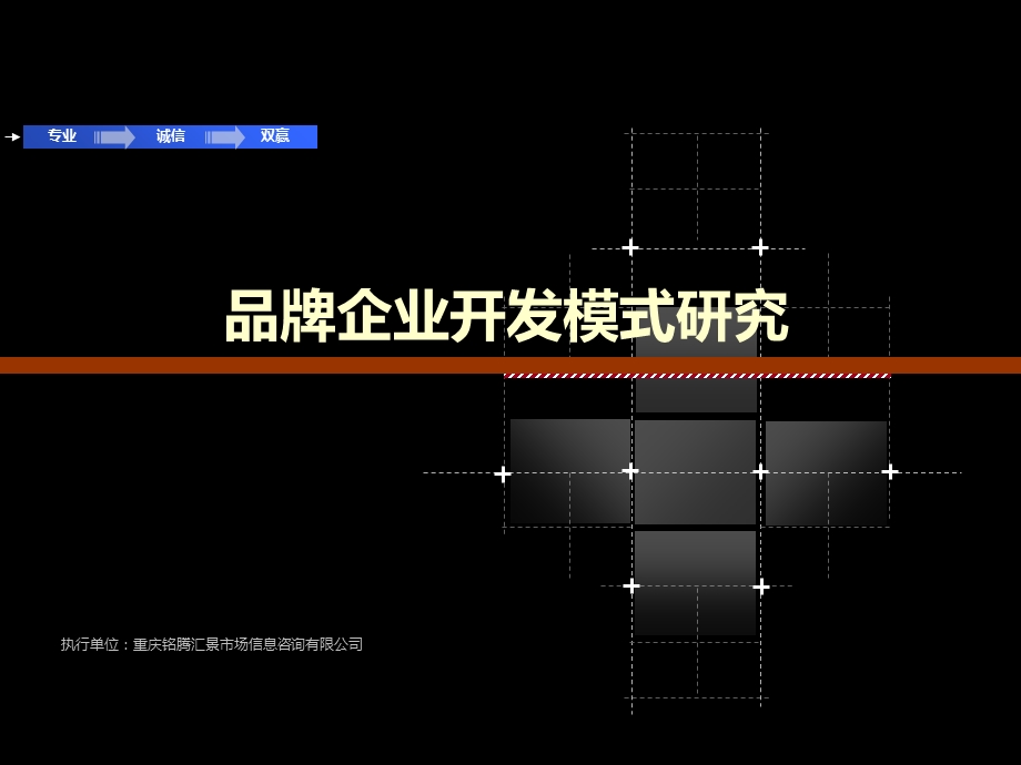 品牌企业开发模式研究.ppt_第1页