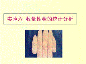 实验六数量性状.ppt