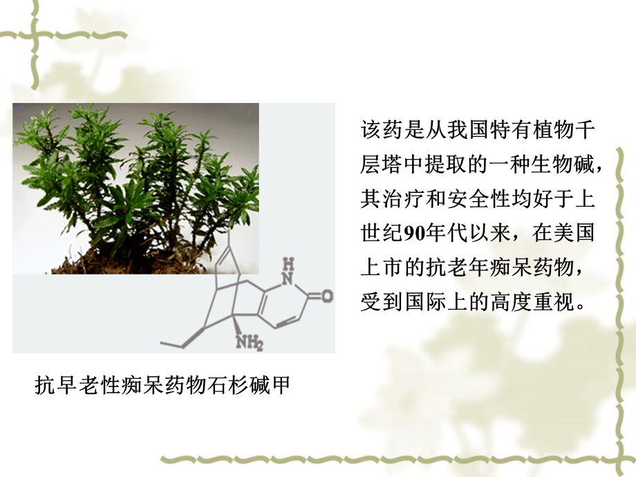 天然药物化学绪论.ppt_第3页